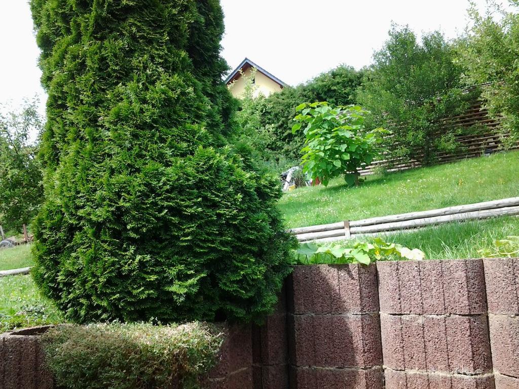 Ferienhaus Waldblick Sangerhausen Exteriér fotografie